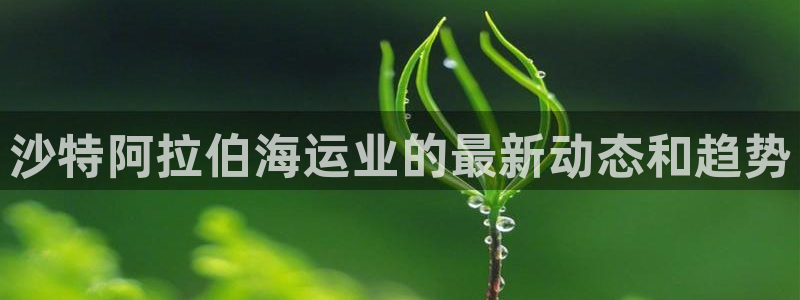 欢迎你来到公海 赌船