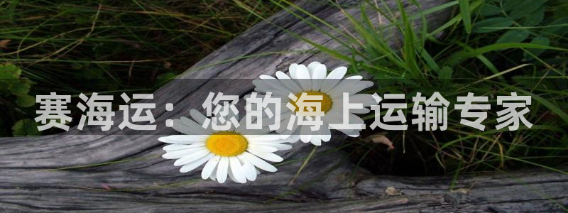 公海赌钱算合法收益吗
