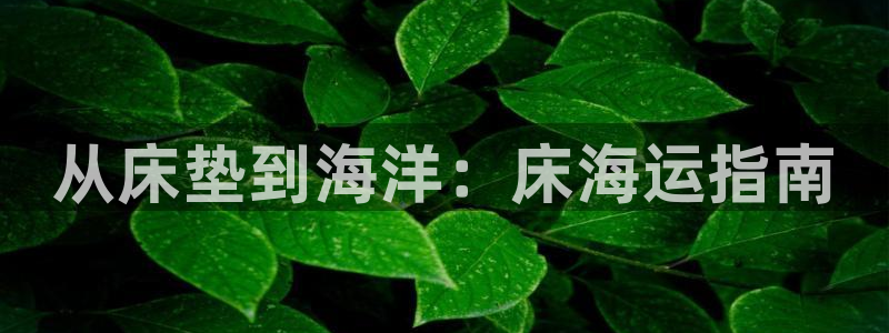 欢迎你来到公主的海岛