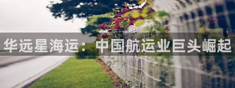 在公海赌博犯法吗