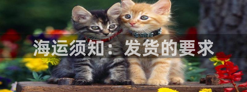 欢迎来到公海欢迎来到赌船710