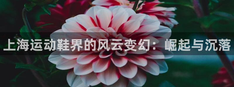 欢迎来公海欢迎来到赌船
