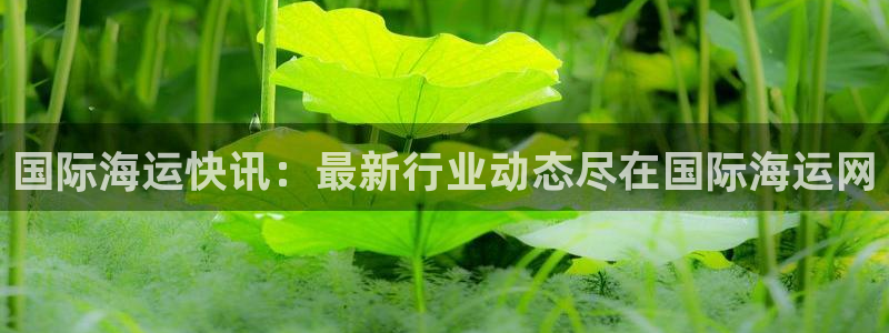 公海赌赌船官网