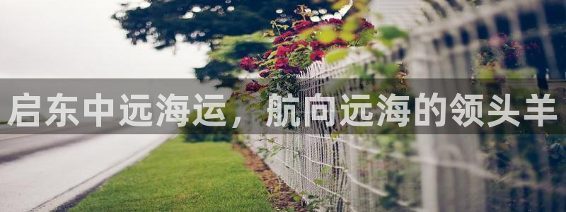 公海赌赌船官网是真的吗