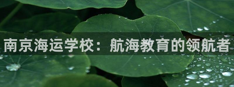 欢迎到我的船上来的英文