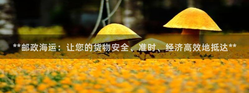 欢迎您到公海赌来