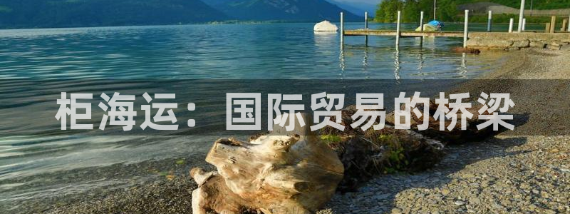 欢迎来到公海电脑版