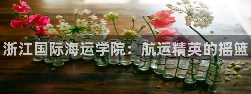 公海赌赌船官网710登录