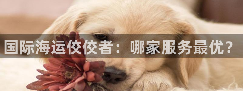 公海赌船贴吧