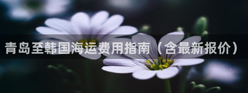 欢迎登船