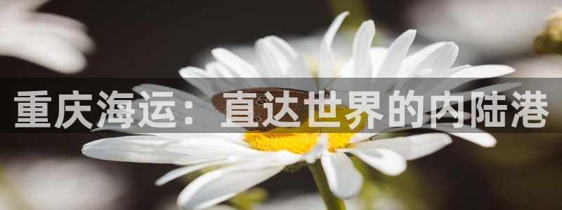 欢迎来公海欢迎来到船701