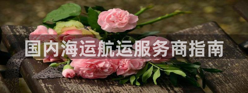 欢迎来到海牛星简谱
