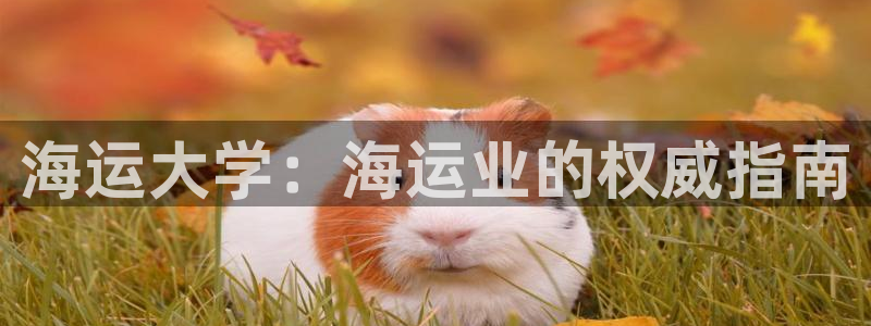 欢迎来到公海欢迎来到