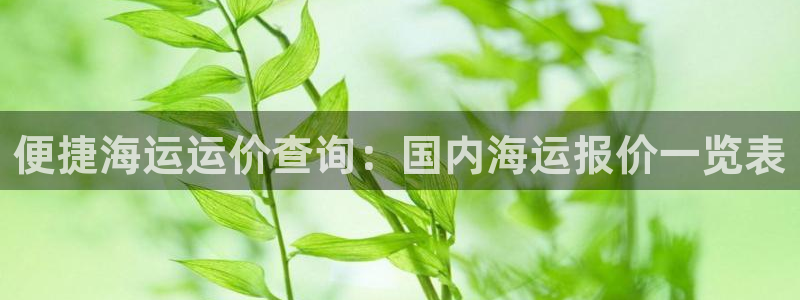 公海赌钱算合法收益吗