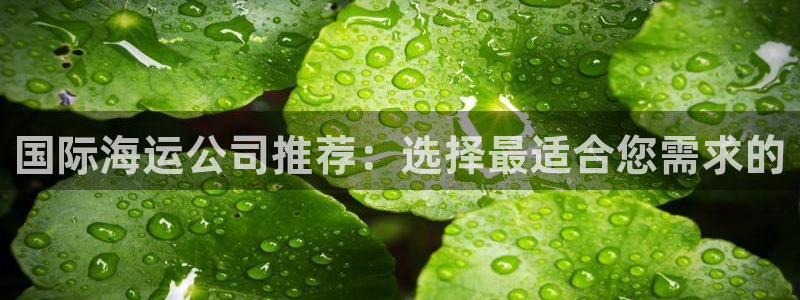 欢迎来到公海710线路是多少