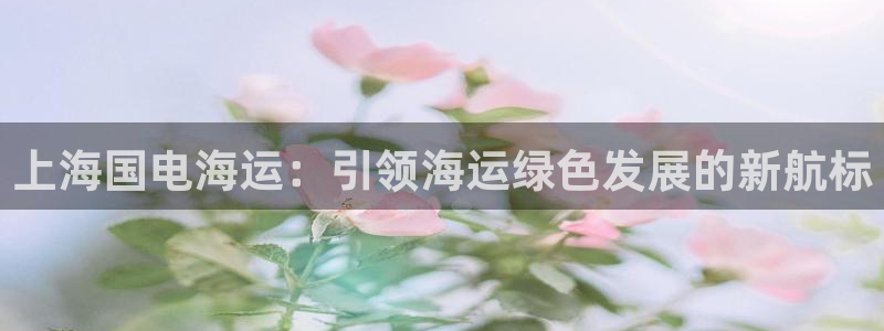 公海赌船怎么样