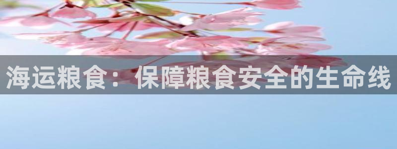 710公海赌赌船有总代理吗