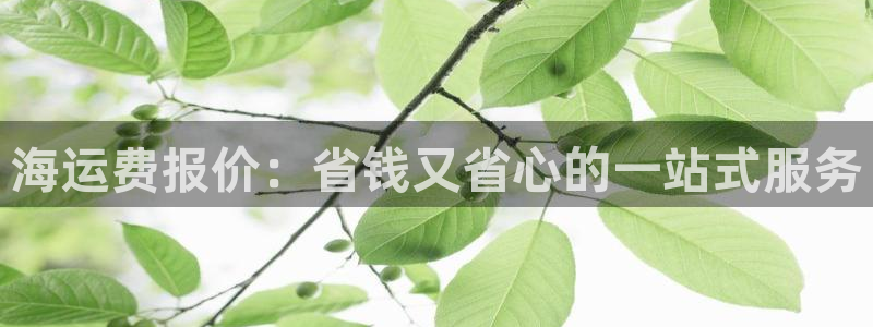 欢迎公海来到赌船710