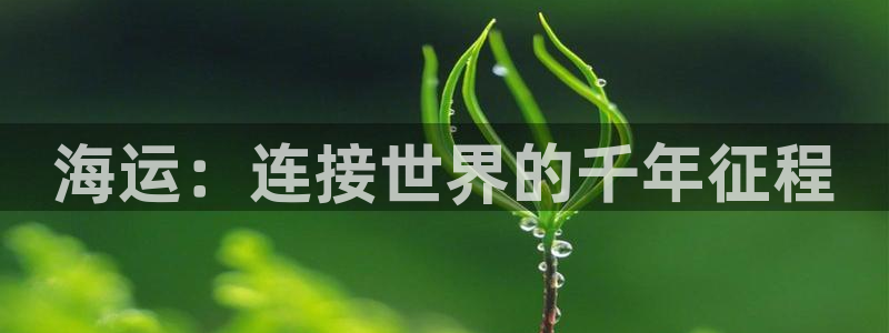 欢迎来到公海555000
