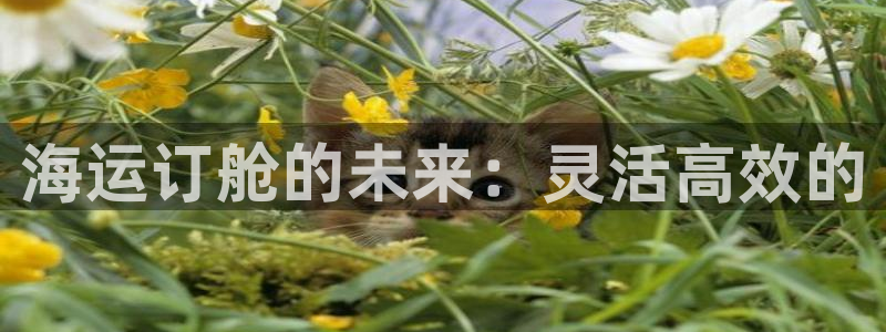 欢迎来到公海欢迎来到