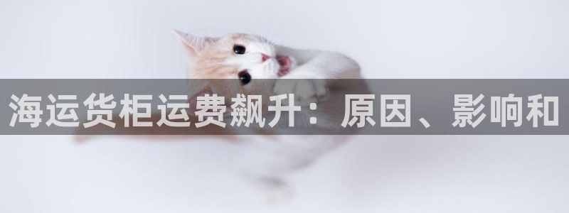 欢迎您来到公海