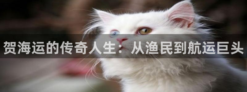 欢迎你来到公海 赌船