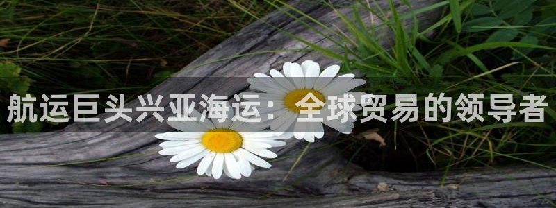 欢迎来到赌船公海710