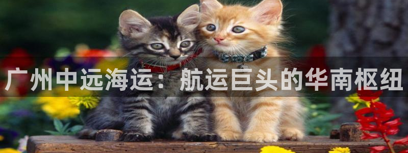 欢迎来到公海欢迎来到赌船710