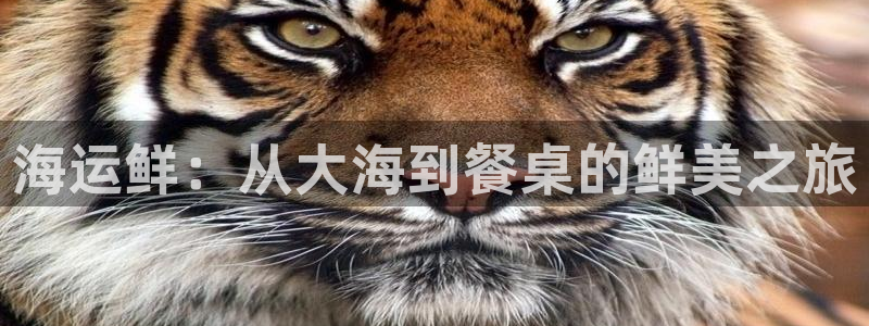 公海赌赌船官网710登录