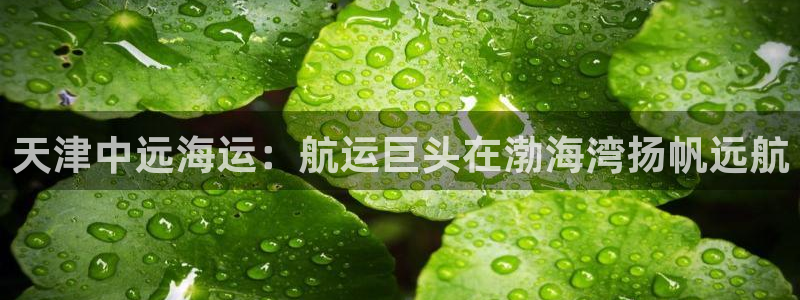 公海赌赌船710检测路线