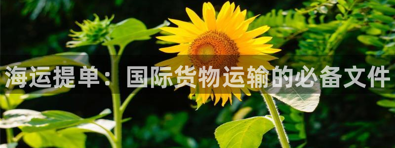 欢迎您来到公海客服