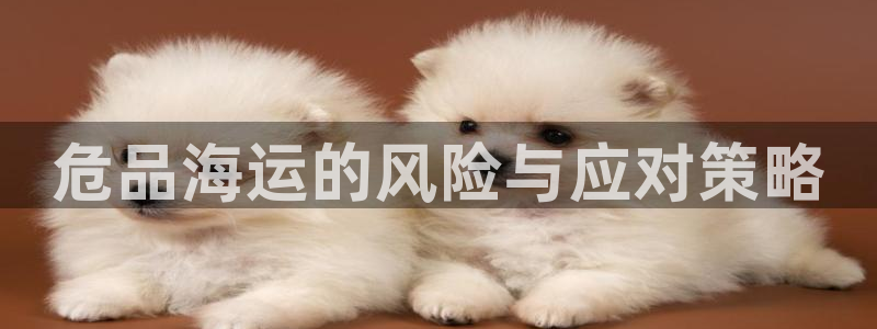 欢迎你来到公海赌
