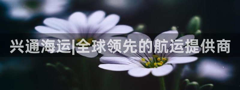 欢迎来公海欢迎来到赌船!