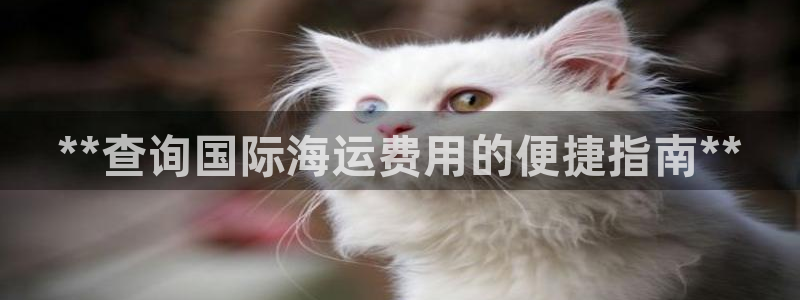 公海赌赌船贵宾会员检测路线