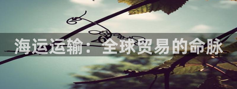 公海赌赌船维护多久