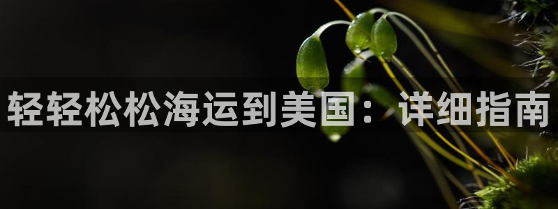 公海赌赌船手机下载