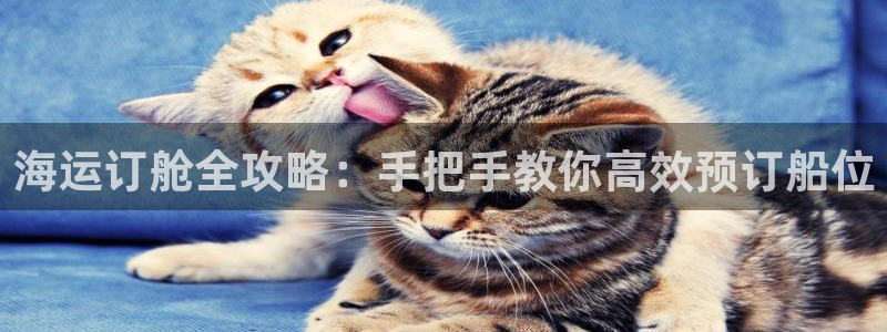 公海赌船网页