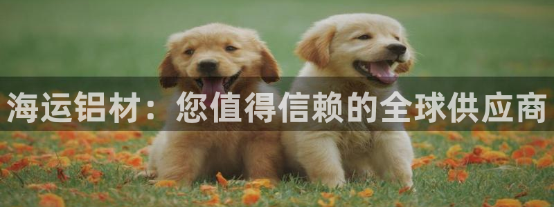 欢迎来到公海.欢迎来到赌船