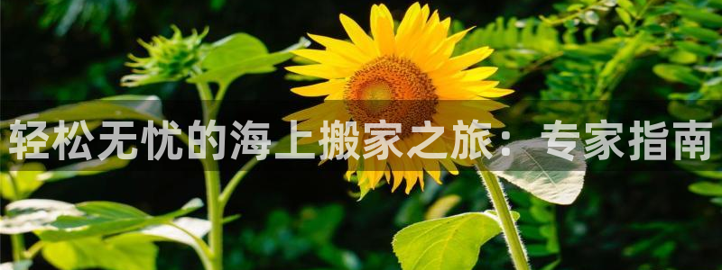 欢迎来到公海710线路是多少