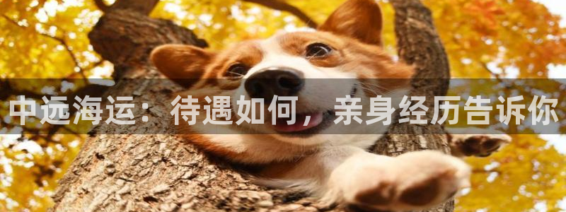 欢迎来到公海欢迎来到赌船710