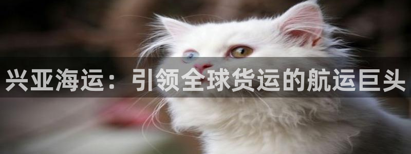欢迎来公海欢迎来到赌船