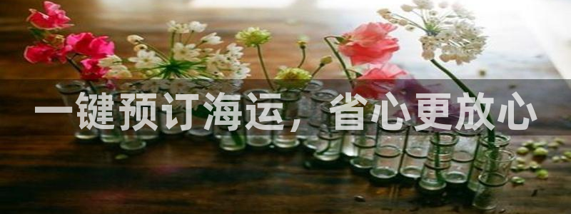 欢迎你来到公海欢迎你来到