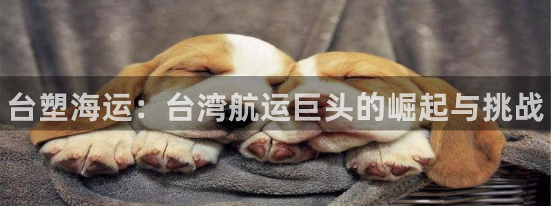 公海赌赌船官网