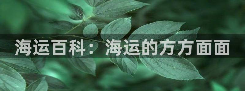 公海欢迎来到