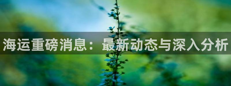 欢迎你来到公海 赌船