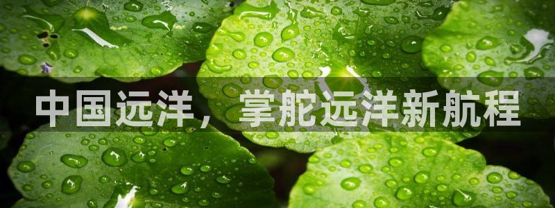 欢迎来到公海欢迎来到赌船!!