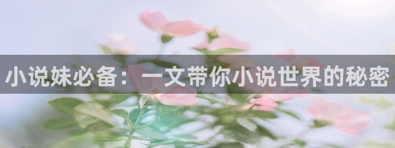 棉花糖小说网txt下载网站