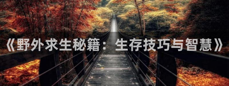 小说棉花糖