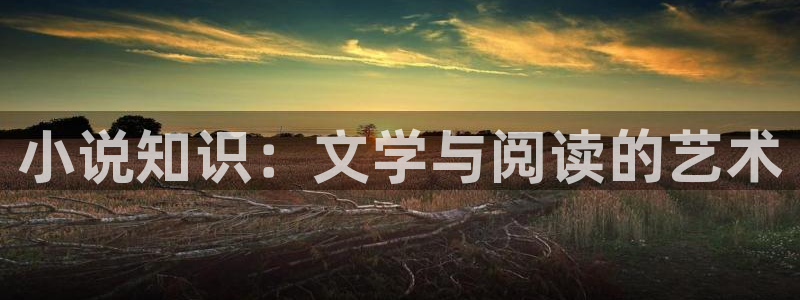 宝鉴棉花糖小说
