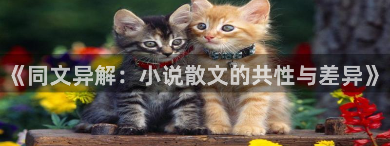 棉花糖小说免费阅读